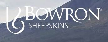 Bowron